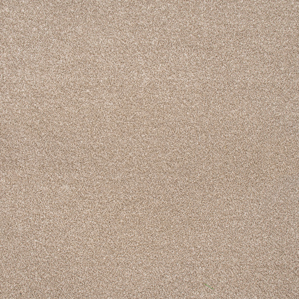 Primo Ultra Carpet-Doeskin - Image 3