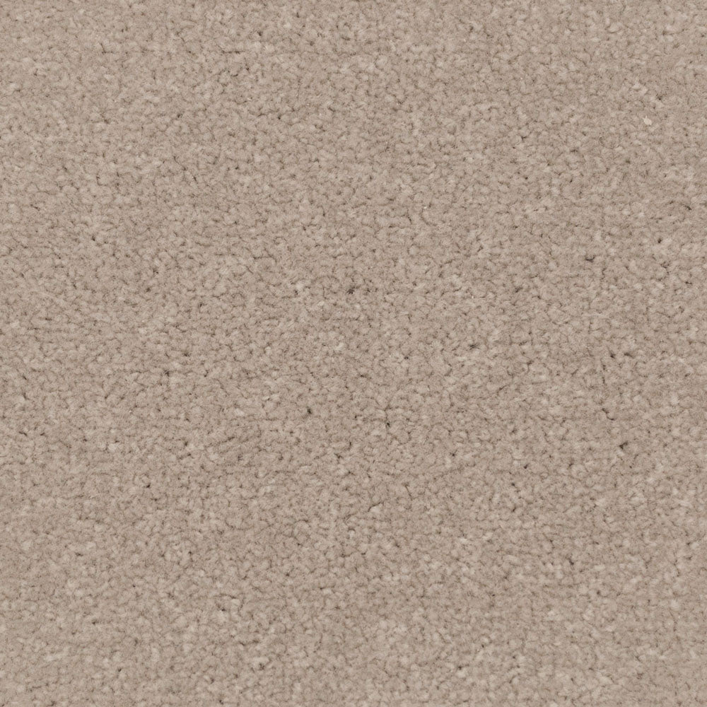 Apollo Plus Carpet-Caramel - Image 3